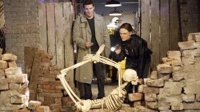Bones Season 3 Episode 13 - The Verdict in the Story