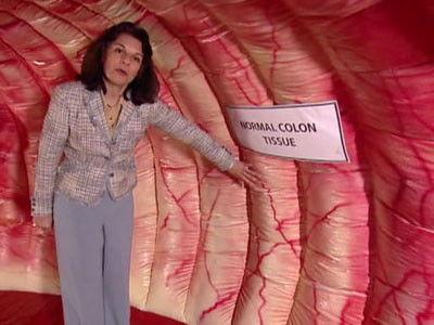 Penn & Teller: Bull! Season 5 Episode 4 - Detoxing