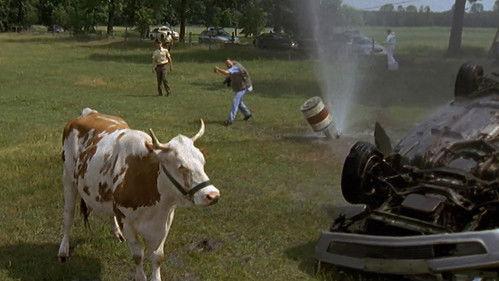 Der letzte Zeuge Season 6 Episode 5 - Episode 5