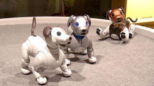 Japanology Plus Season 8 Episode 18 - Personal Robots