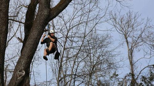 Treehouse Masters Season 9 Episode 9 - Grace VanderWaal's Got Treehouse