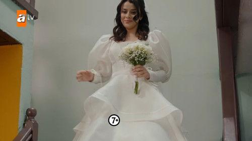 Street Birds Season 2 Episode 23 - Episode 44