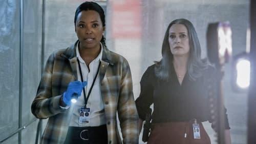 undefined Season 16 Episode 2 - Sicarius