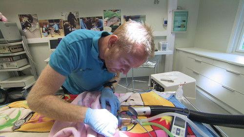 Dyrepasserne Season 6 Episode 14 - Episode 14