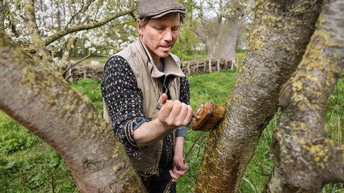 Frank & Kastaniegaarden Season 29 Episode 11 - Episode 11