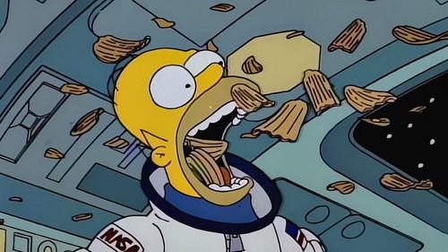 The Simpsons Season 5 Episode 15 - Deep Space Homer