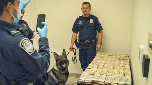 Contraband: Seized at the Border Season 2 Episode 8 - All in the Family