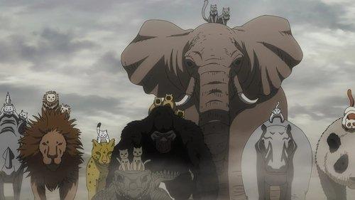 undefined Season 1 Episode 11 - Transformeows