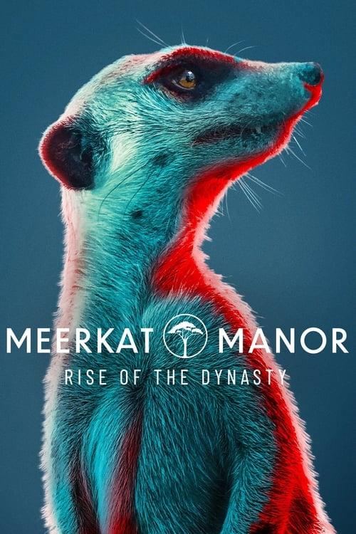 Meerkat Manor: Rise of the Dynasty poster