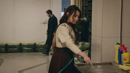 Winds of Love Season 1 Episode 43 - Episode 43