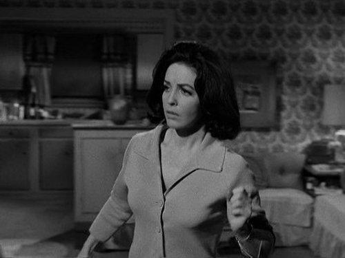 undefined Season 9 Episode 16 - The Case of the Midnight Howler