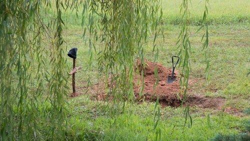 undefined Season 5 Episode 9 - What Happened and What's Going On