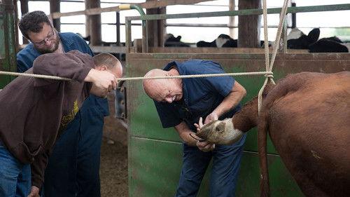 The Incredible Dr. Pol Season 5 Episode 3 - Puppy Love