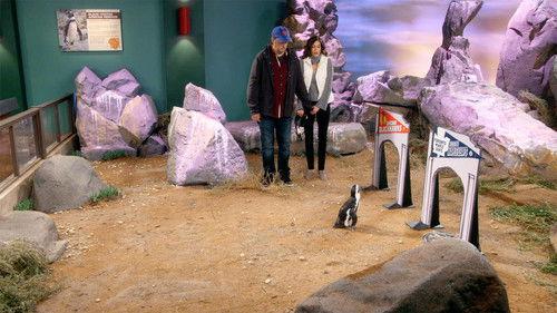 The Odd Couple Season 3 Episode 11 - Batman vs. the Penguin