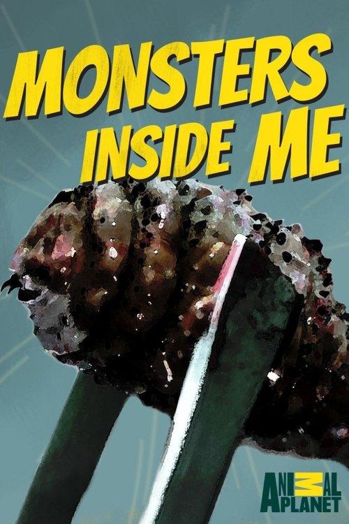 Monsters Inside Me poster