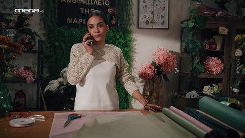 Olive Land Season 4 Episode 25 - Episode 25