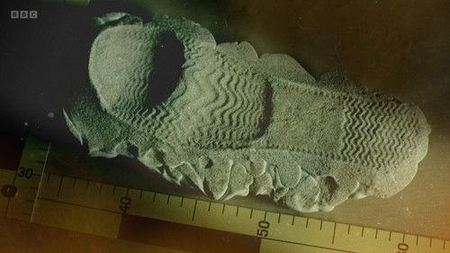 Forensics: The Real CSI Season 5 Episode 1 - Murder in a Brothel