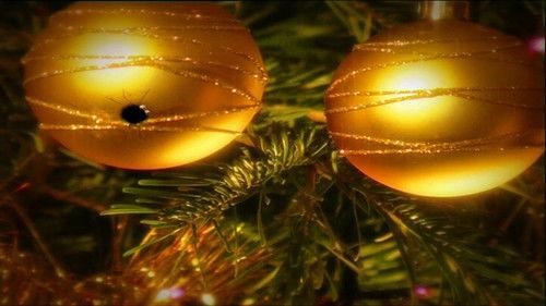 Minuscule: The Private Life of Insects Season 1 Episode 20 - O Tannenbaum