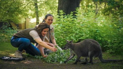 Tierärztin Dr. Mertens Season 9 Episode 1 - Episode 1