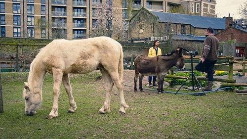 Countryfile Season 33 Episode 16 - Anita's Home Patch