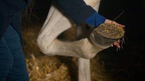 Astrid et Raphaëlle Season 5 Episode 7 - We finish the jockeys well