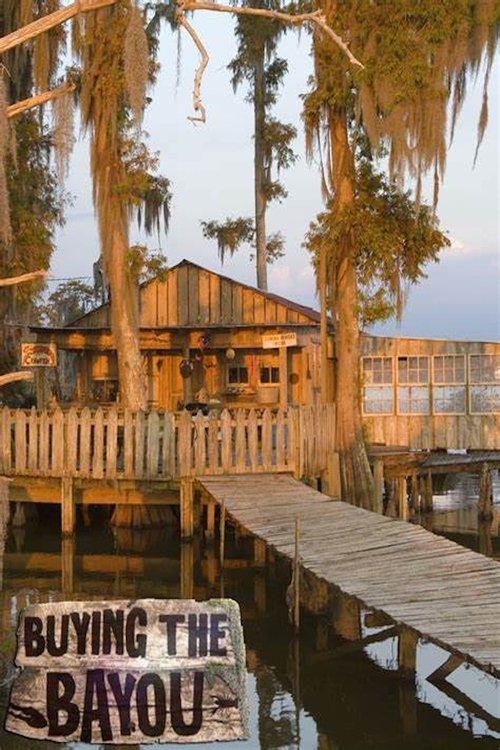 Buying the Bayou poster