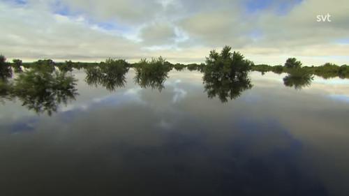 Amur: Asia's Amazon Season 1 Episode 2 - The Black Dragon