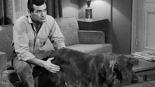 The Fugitive Season 1 Episode 20 - Bloodline