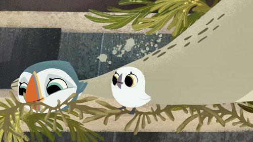 Puffin Rock Season 1 Episode 20 - Silky's Slide