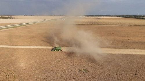 60 Minutes Season 58 Episode 7 - The Family Farm; Collateral Damage; The Indomitable Margaret Atwood