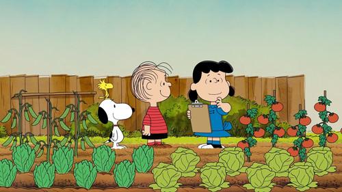 Take Care with Peanuts Season 1 Episode 6 - Get Up and Grow