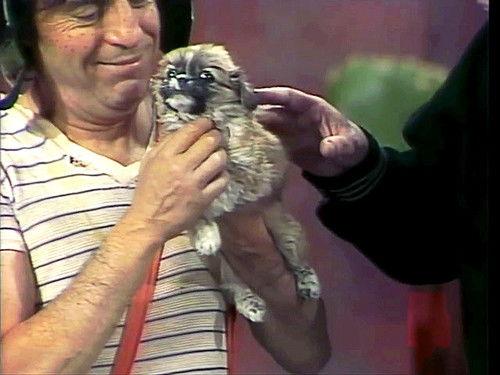 El Chavo del Ocho Season 4 Episode 44 - Episode 44