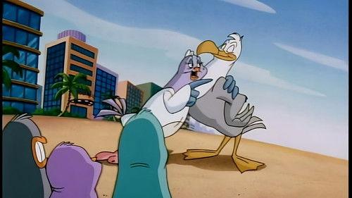 Animaniacs Season 2 Episode 7 - Miami Mama-Mia