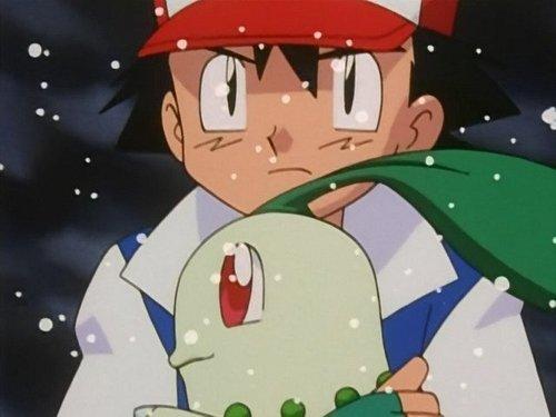 Pokémon Season 3 Episode 10 - The Chikorita Rescue