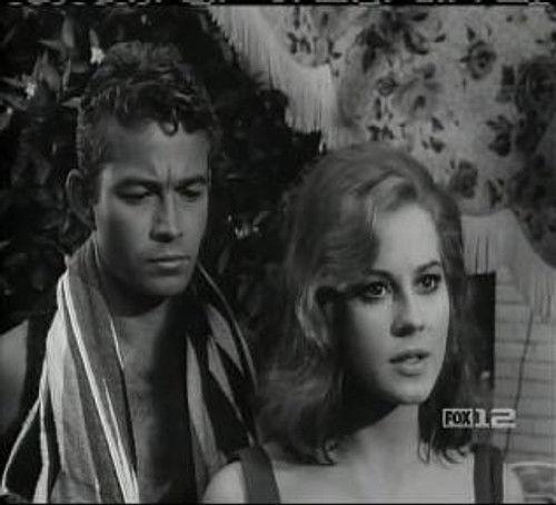 Perry Mason Season 7 Episode 9 - The Case of the Festive Felon