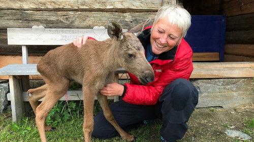 Ut i naturen Season 27 Episode 7 - Episode 7