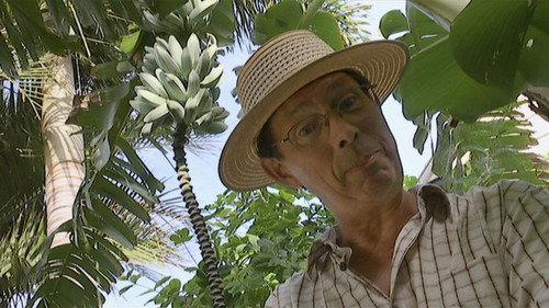 Gardening Australia Season 27 Episode 22 - Episode 22: Pocket City Farm, Choosing Cuttings & Kokedamas