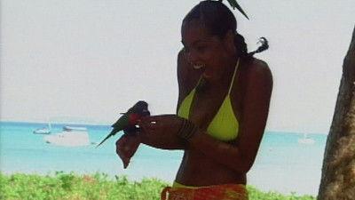 The Real World Season 12 Episode 18 - Down Under