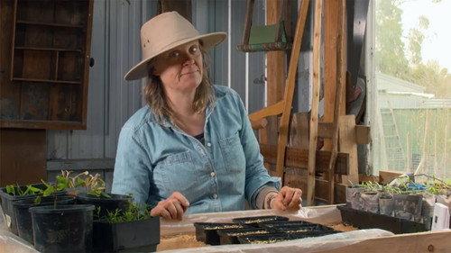 Gardening Australia Season 32 Episode 24 - Spring Special