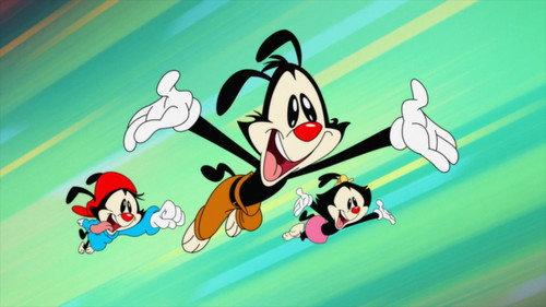 Animaniacs Season 1 Episode 2 - Suspended Animation (1)