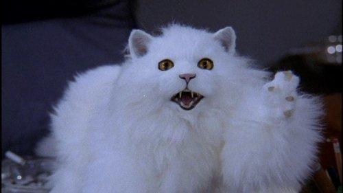 Just Shoot Me! Season 4 Episode 12 - When Nina Met Elliott's Mother