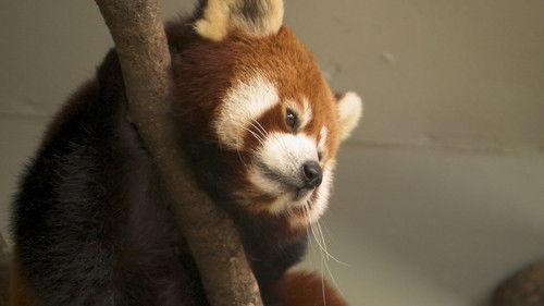 Dyrepasserne Season 7 Episode 5 - Episode 5