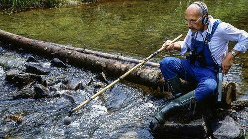 Löwenzahn Season 6 Episode 1 - Episode 1