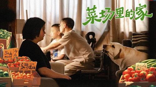 Dream Home Season 11 Episode 8 - Episode 8