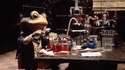 The Wind in the Willows Season 3 Episode 6 - School Days