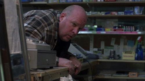 Law & Order Season 16 Episode 9 - Criminal Law