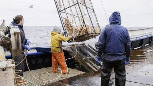 Deadliest Catch Season 17 Episode 5 - Force Majeure