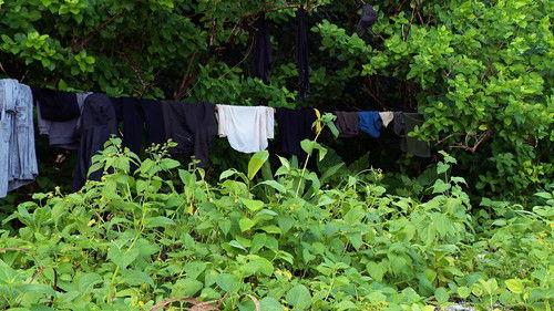 Robinson Season 25 Episode 6 - Episode 6