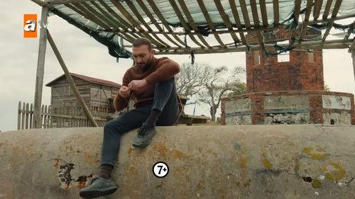 Street Birds Season 2 Episode 11 - Episode 32