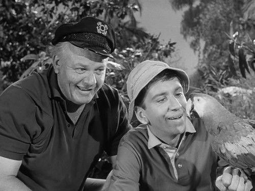 Gilligan's Island Season 1 Episode 27 - New Neighbor Sam